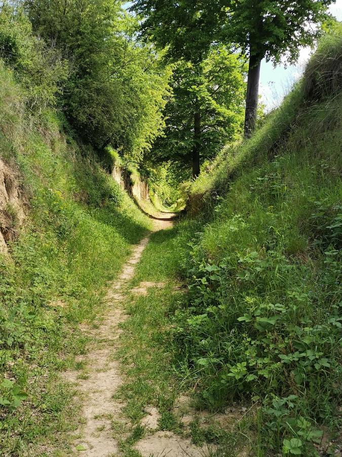 Im Herzen Des Kraichgaus 1 Ostringen Buitenkant foto