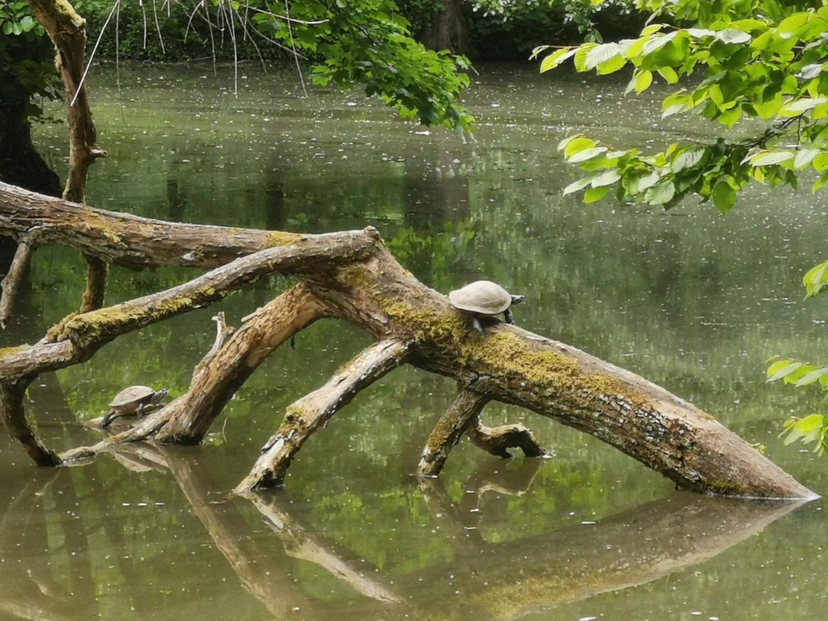 Im Herzen Des Kraichgaus 1 Ostringen Buitenkant foto